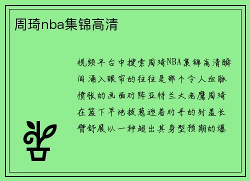 周琦nba集锦高清